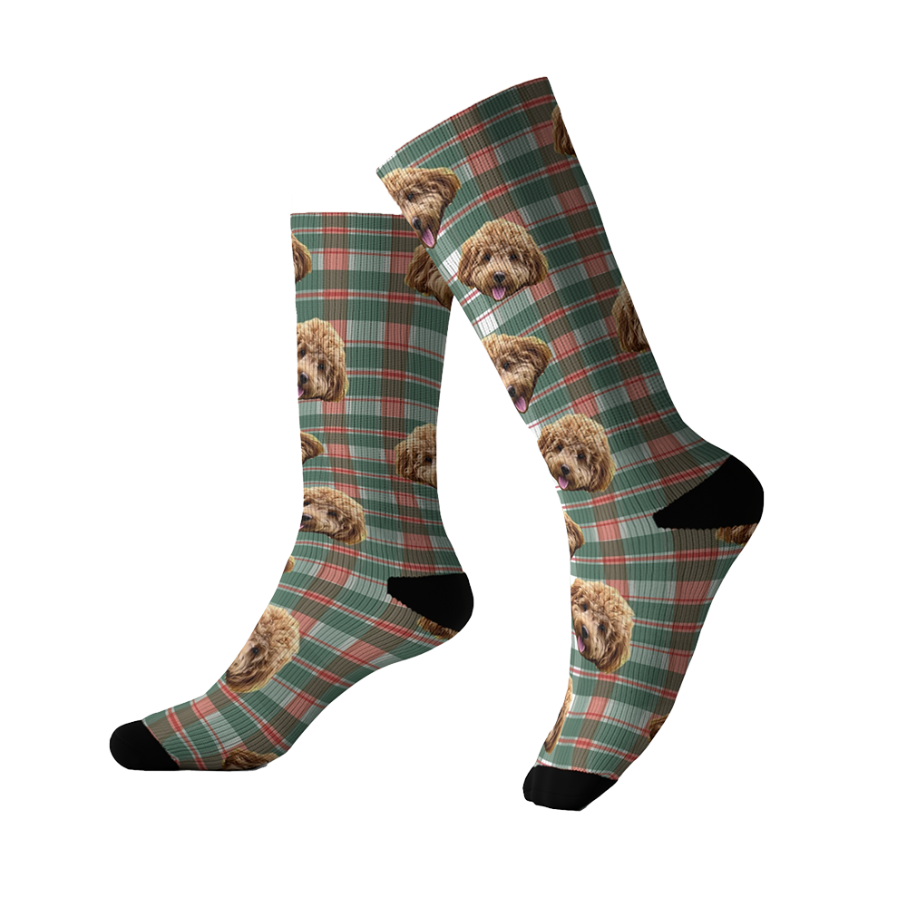 Plaid patterned socks with dog faces on a white background