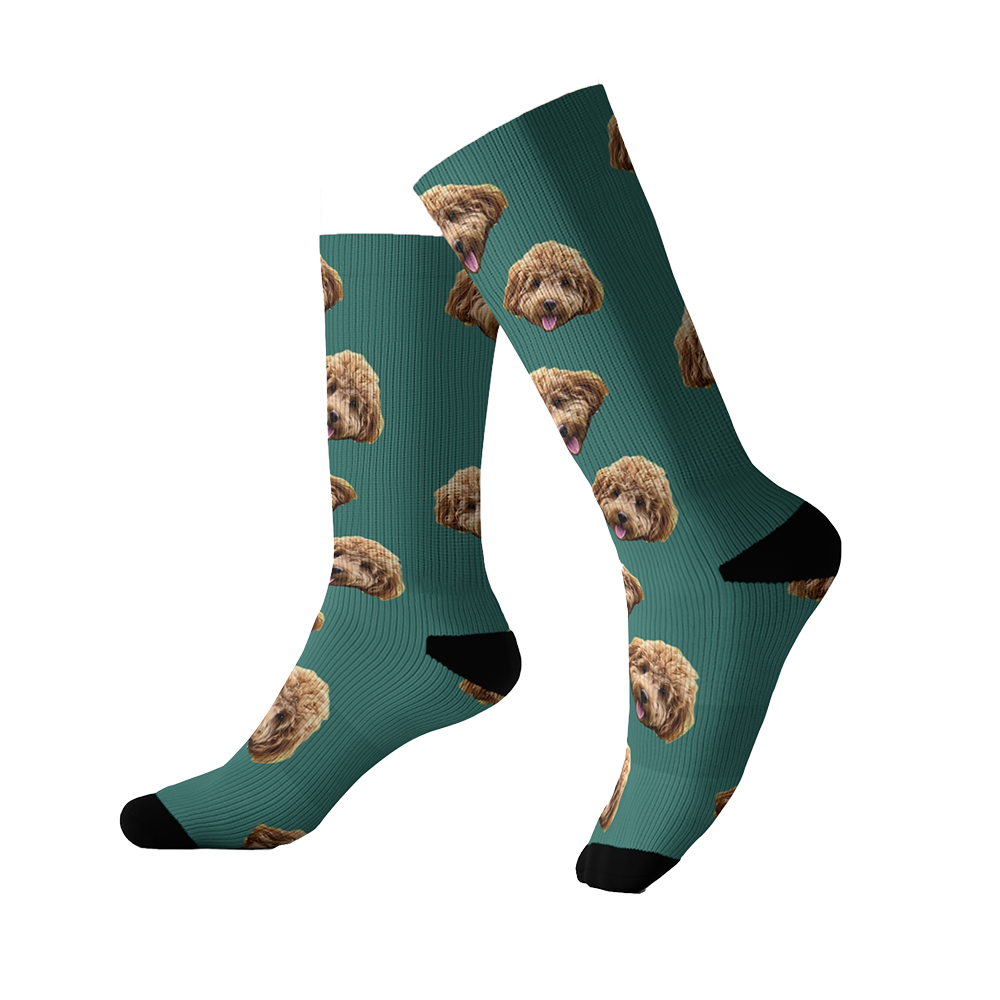 Teal green socks featuring a repeating pattern of a fluffy brown dog’s face. The socks have black toes and heels