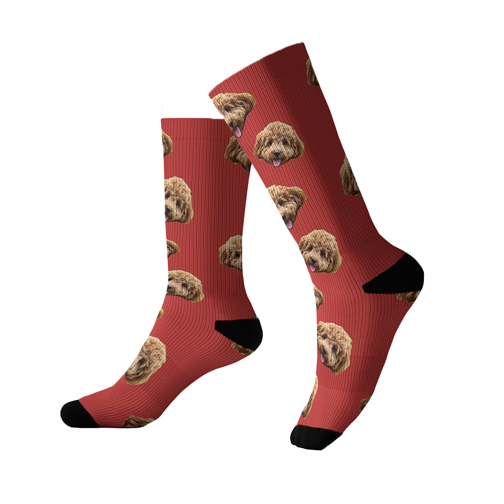 Red socks featuring a repeating pattern of a fluffy brown dog’s face. The socks have black toes and heels.