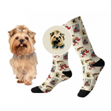 Dog with socks featuring comic book-style illustrations on a white background