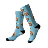 Light Blue Paws Socks