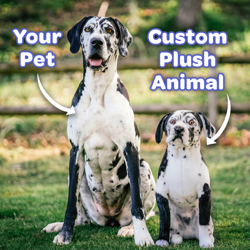 Stuffed Animal That Looks Like Your Pet Customize a High Quality Dog Plush or Plush Pets Perfect Stuffed Animals That Look Like Pets Cuddle Clones