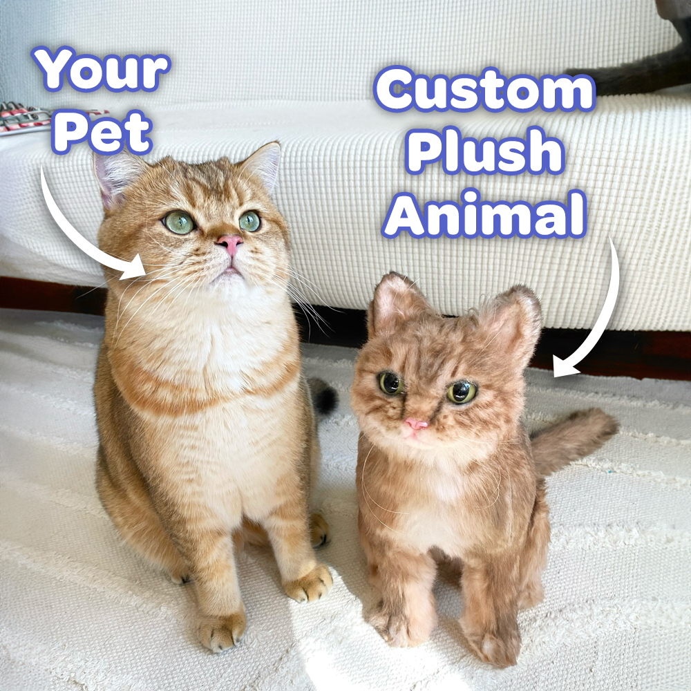 Custom Cat Plush - Personalized Stuffed Cats - Cuddle Clones