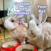 Twinning Rabbit with Custom Rabbit Cuddle Clone