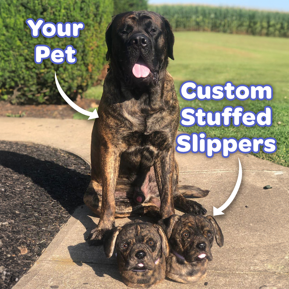 Big dog slippers best sale