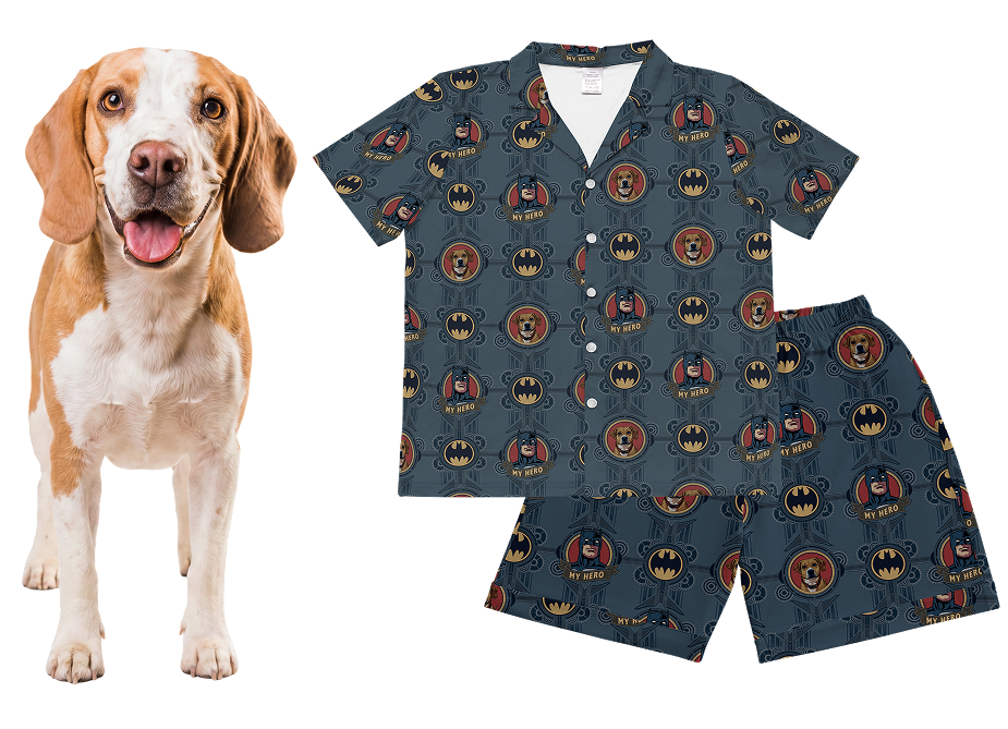 Dog next to a batman shirt and shorts set on a white background
