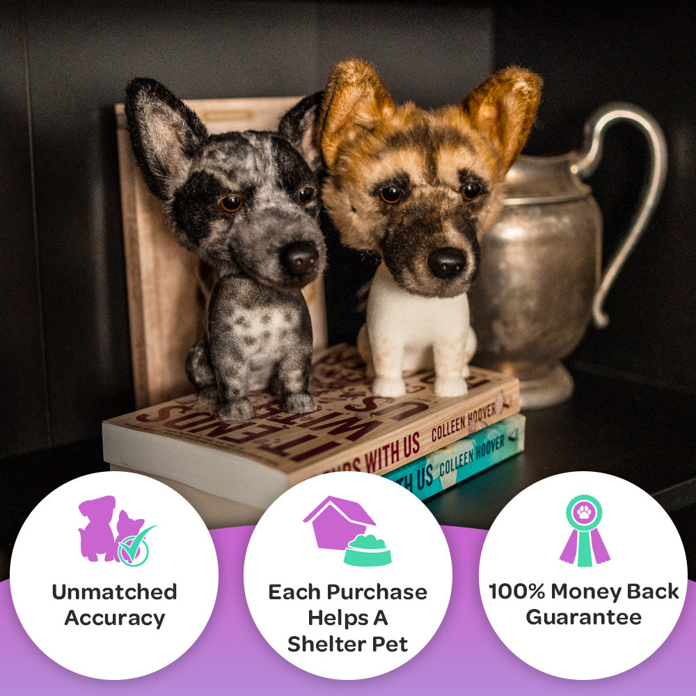 Unmatched Accuracy. Each Purchase helps a Shelter Pet