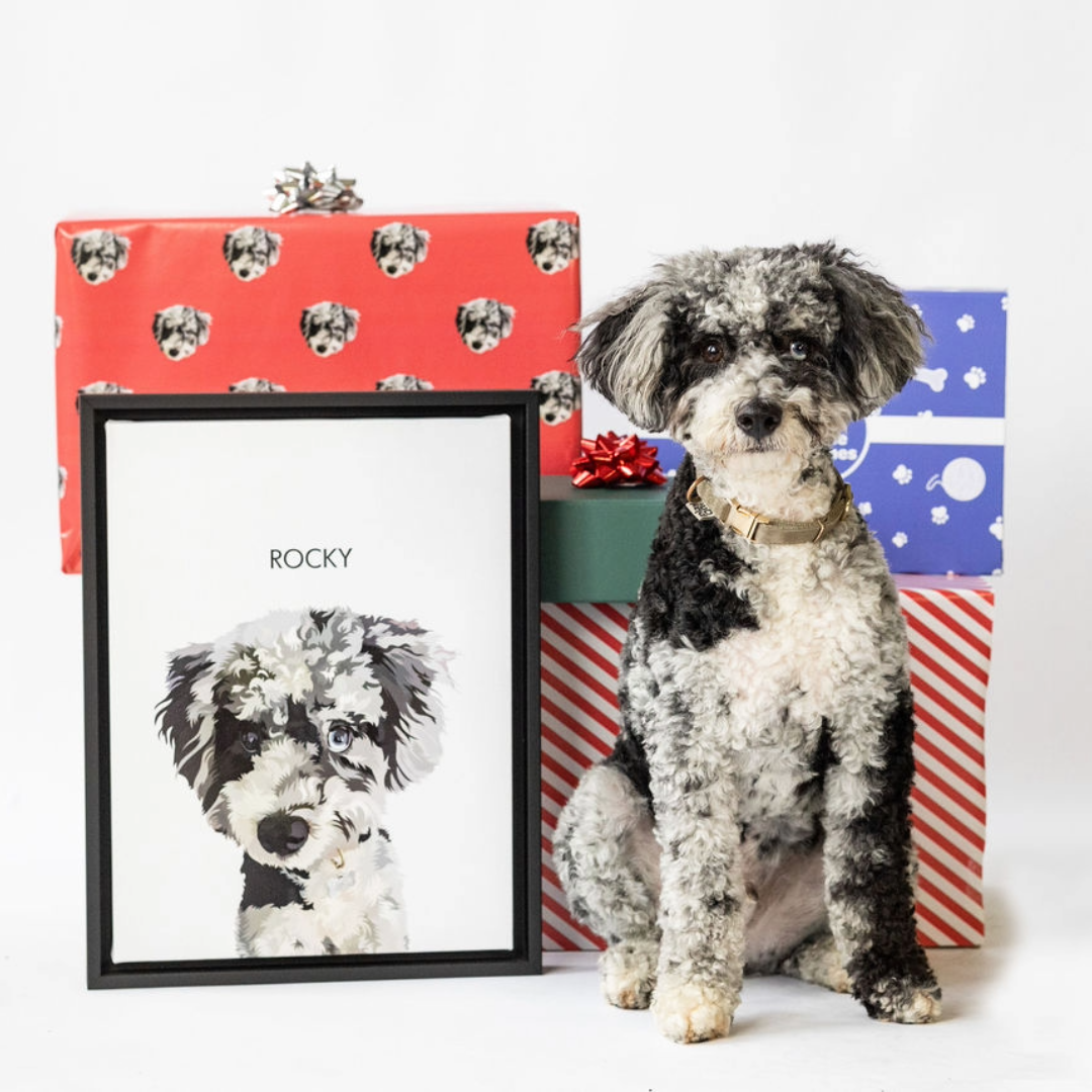 Curly-coated dog next to a portrait of itself and holiday gift boxes in festive wrap.