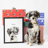 Curly-coated dog next to a portrait of itself and holiday gift boxes in festive wrap.