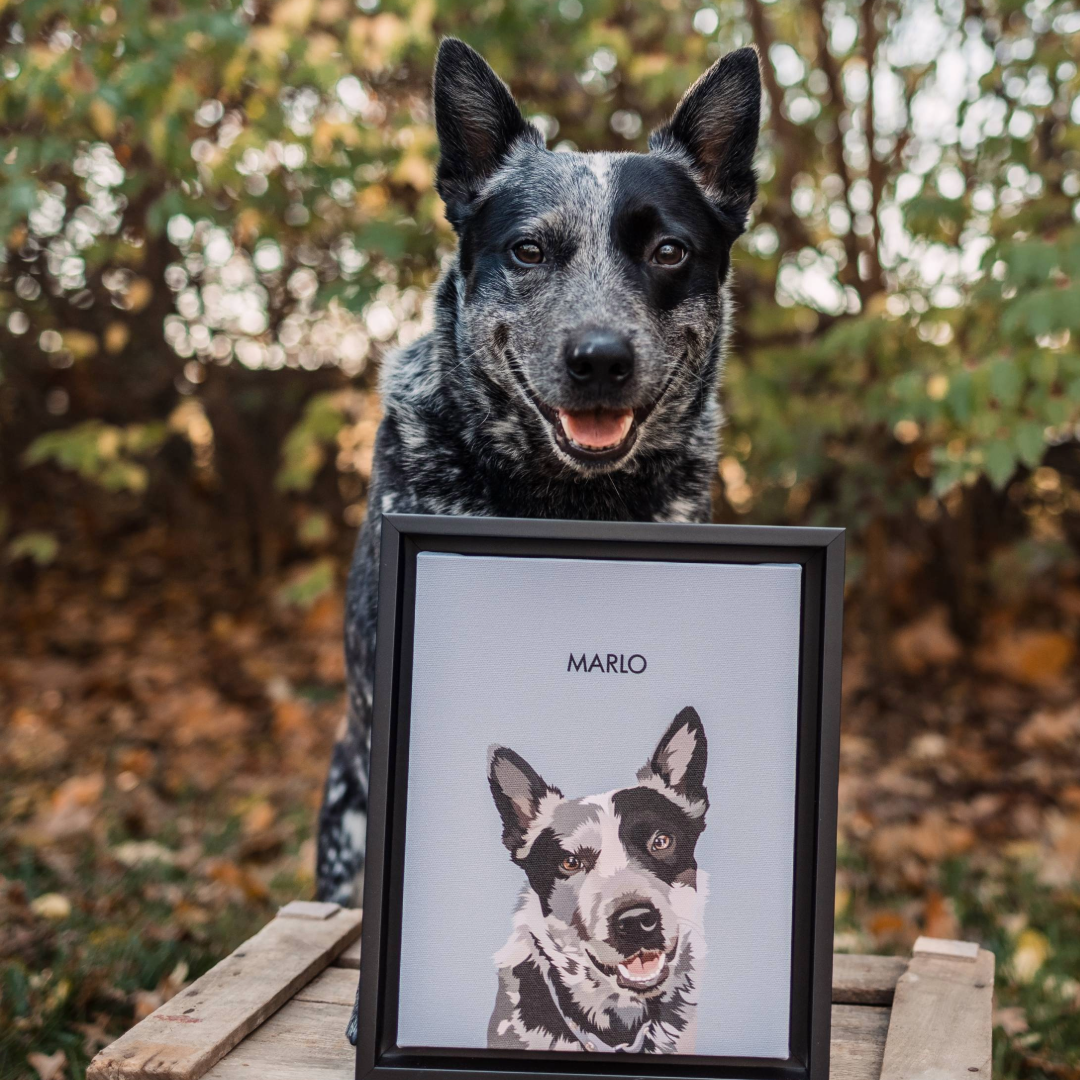 Black and white speckled dog sitting outdoors in front of a backdrop of fall foliage, smiling behind a framed illustrated portrait of himself labeled ‘Marlo.’ The dog and portrait are displayed on a wooden surface.