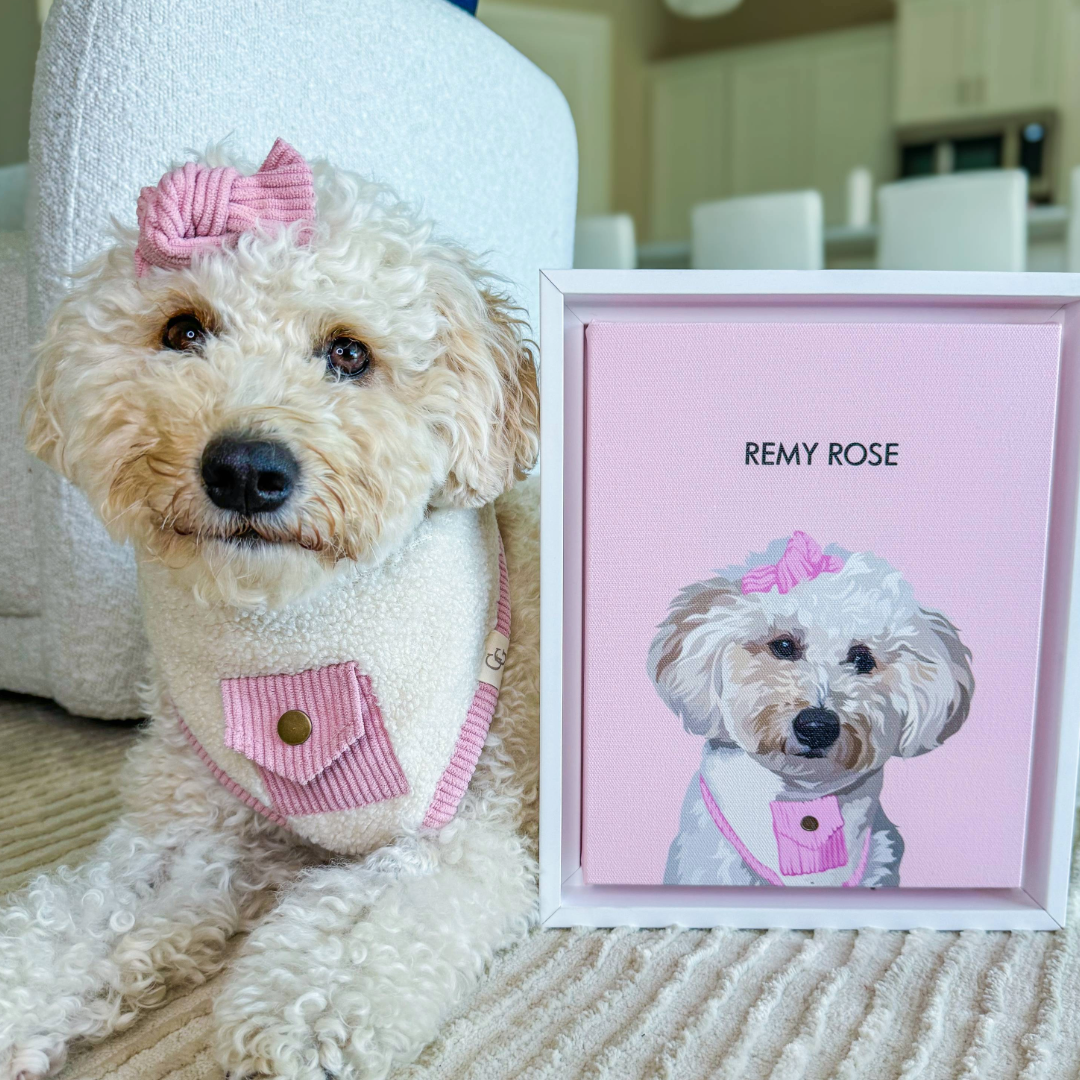 Curly white dog wearing a pink bow and a cream-and-pink vest sits beside a framed illustrated portrait of herself labeled ‘Remy Rose.’ The portrait features matching accessories on a pink background. The scene is set indoors on a light-colored carpet.