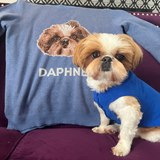 Small dog next to a knit sweater with the text: 'DAPHNE'