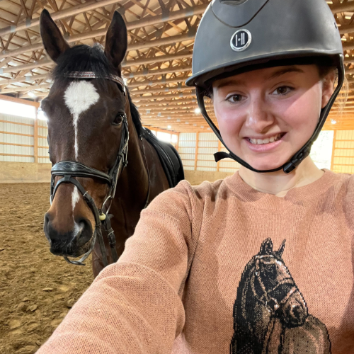 Person in helmet and horse-design sweater next to a horse in a stable.