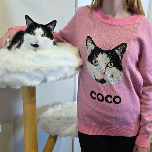 Person wearing a pink sweater with a cat design and 'COCO' text