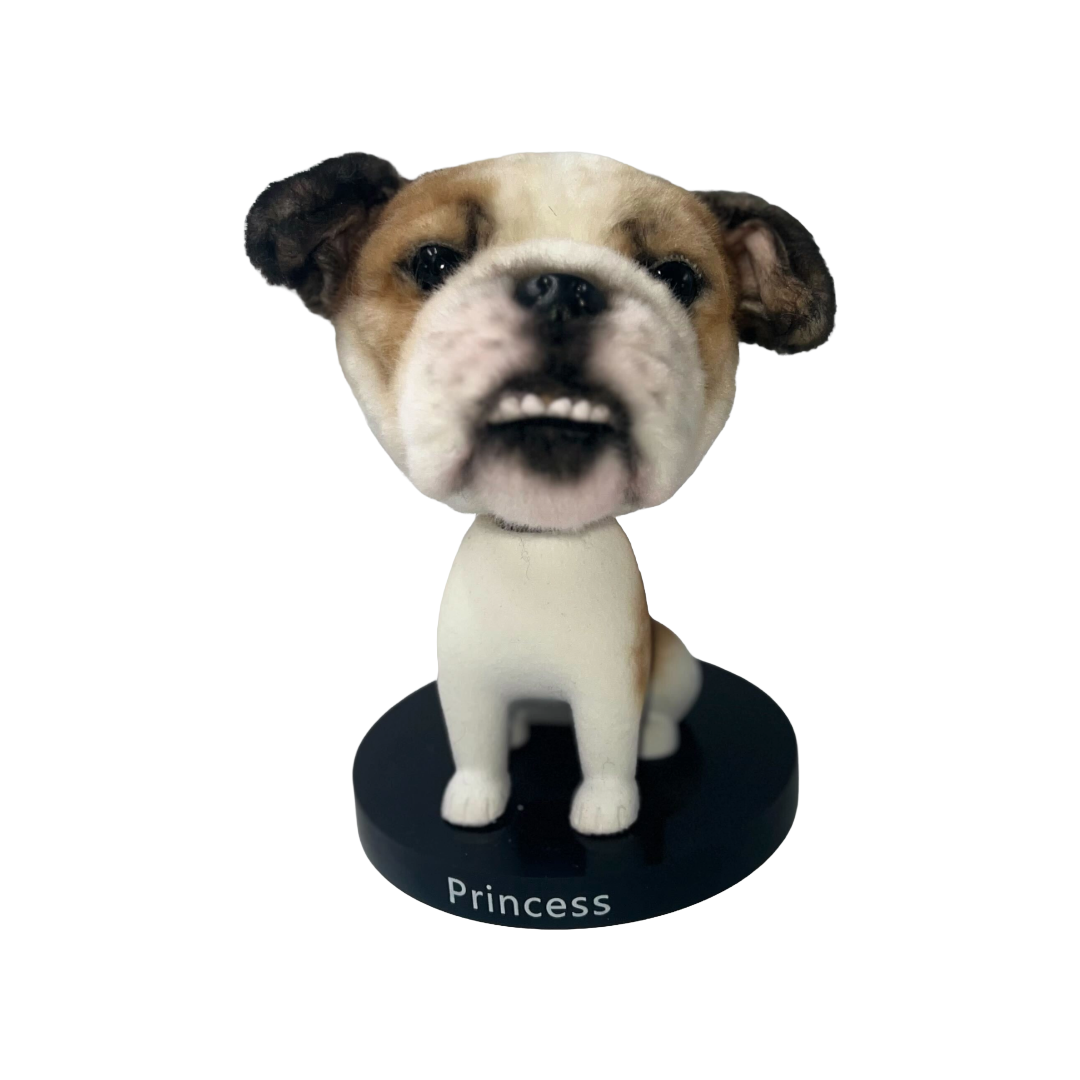 Bobblehead Display Stand