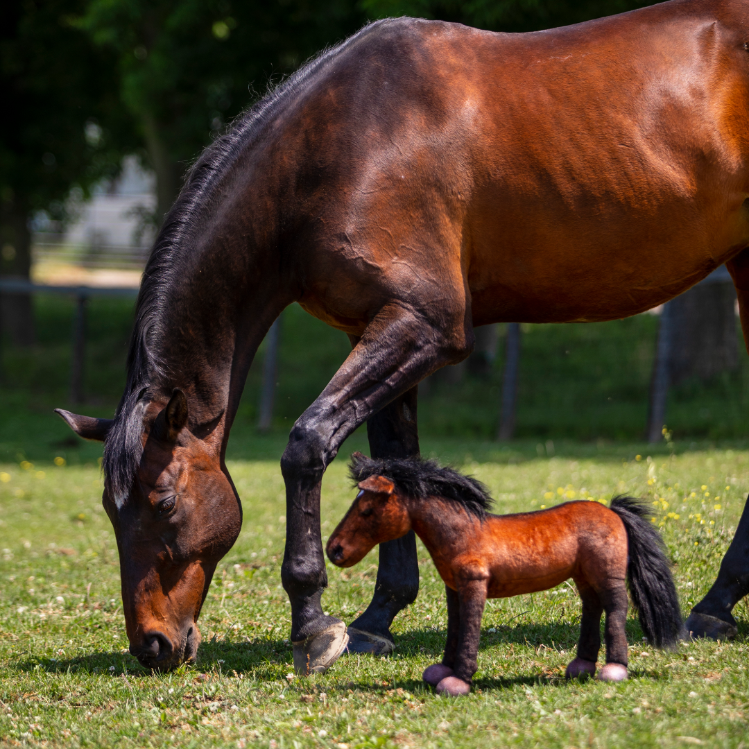 Cuddle shop clones horse