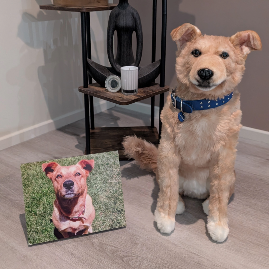 Custom Pet Memorial Plush Cuddle Clone