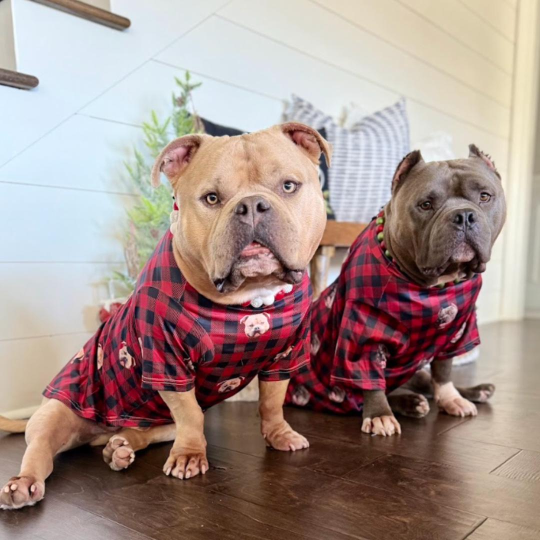 Two stocky dogs sit on a wooden floor wearing matching red-and-black buffalo plaid shirts printed with their own faces.