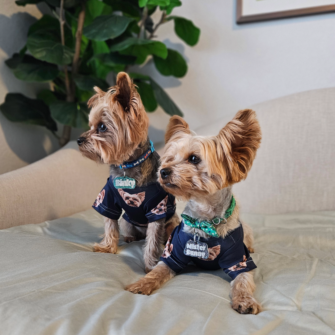 Two small Yorkshire terriers sit on a light-colored couch wearing matching black custom shirts printed with a dog’s face.
