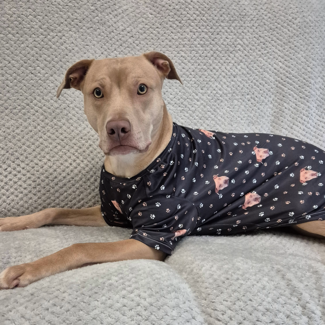 A light brown dog lies on a soft, textured gray blanket while wearing a black custom shirt decorated with its own face and small paw-print patterns.