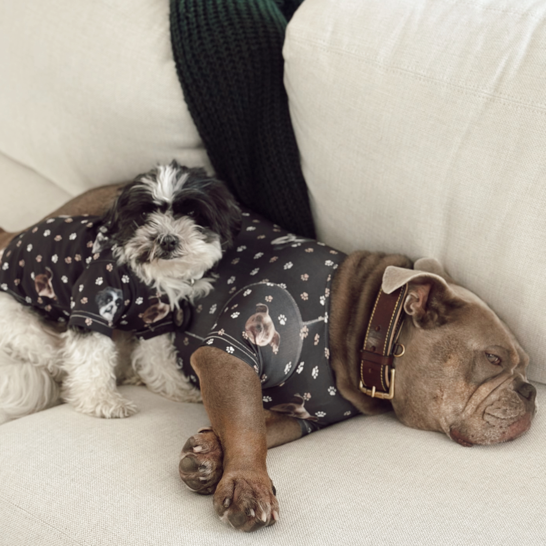 Two dogs lie together on a light-colored couch, both wearing matching black pajamas decorated with dog faces and small paw-print patterns.