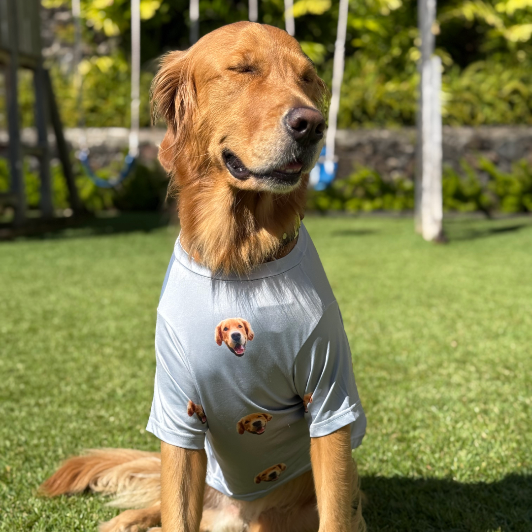 A golden retriever sits on a sunny lawn with eyes closed and a relaxed, happy expression. The dog is wearing a light gray custom T-shirt printed with multiple images of its own face.