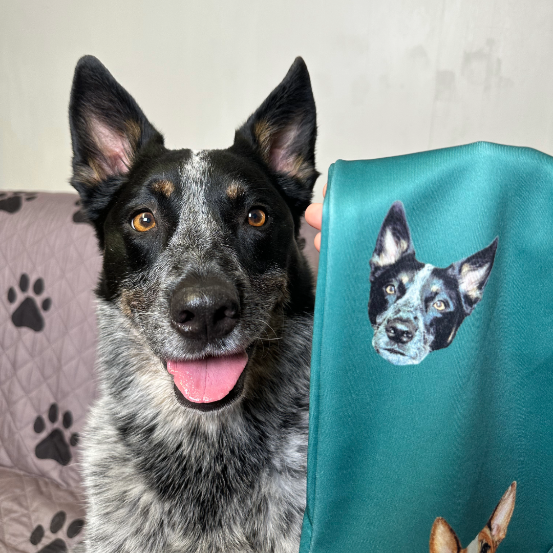 A black-and-white dog with upright ears and a speckled coat sits on a couch with a paw-print blanket, looking at the camera with its tongue out. Next to the dog, a hand holds up a teal pant leg printed with the dog’s face as part of a custom clothing design.