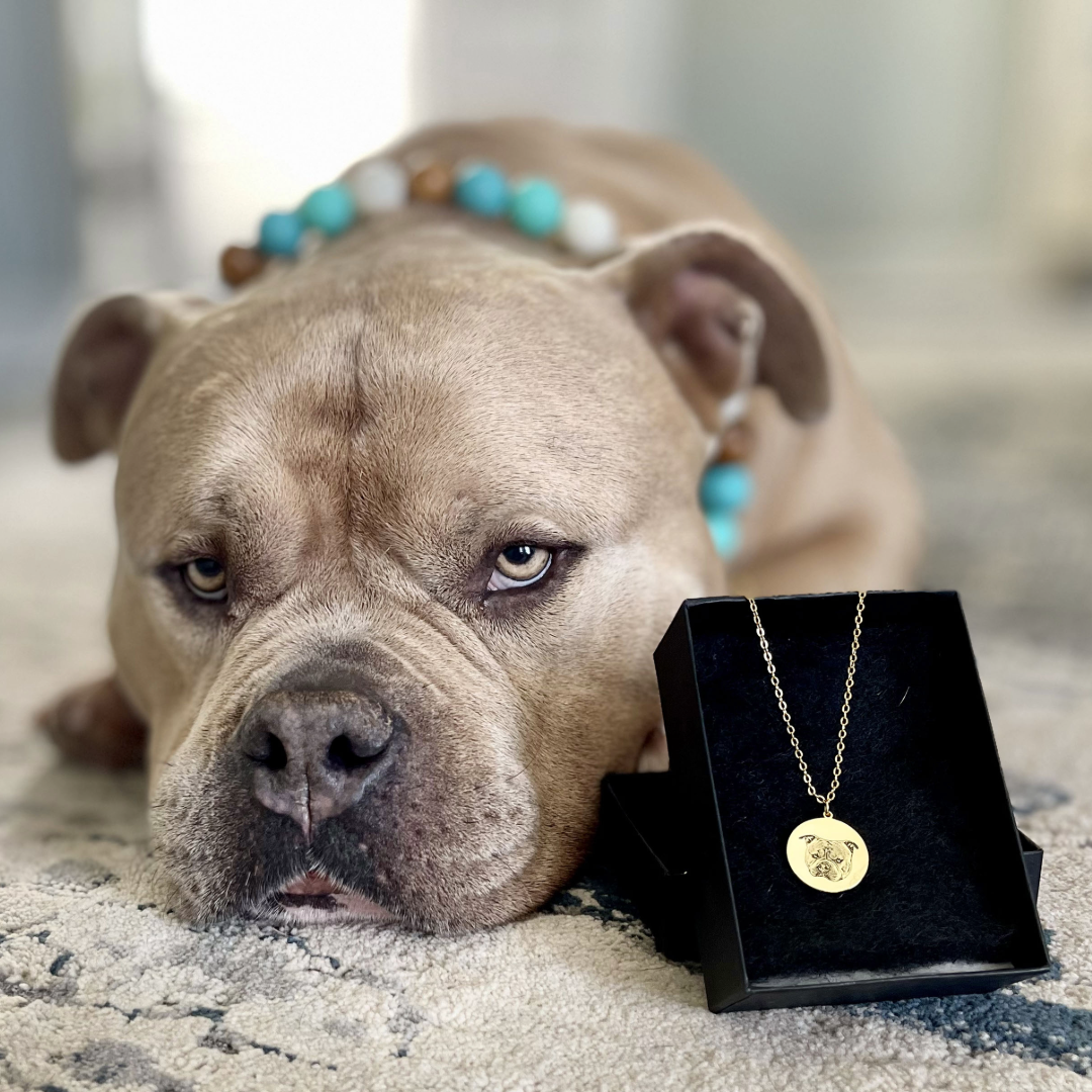 A large tan dog lies on a rug with its head resting on the floor, looking toward the camera with relaxed eyes. In front of the dog is an open black jewelry box displaying a gold necklace with a round pendant engraved with the dog’s face.