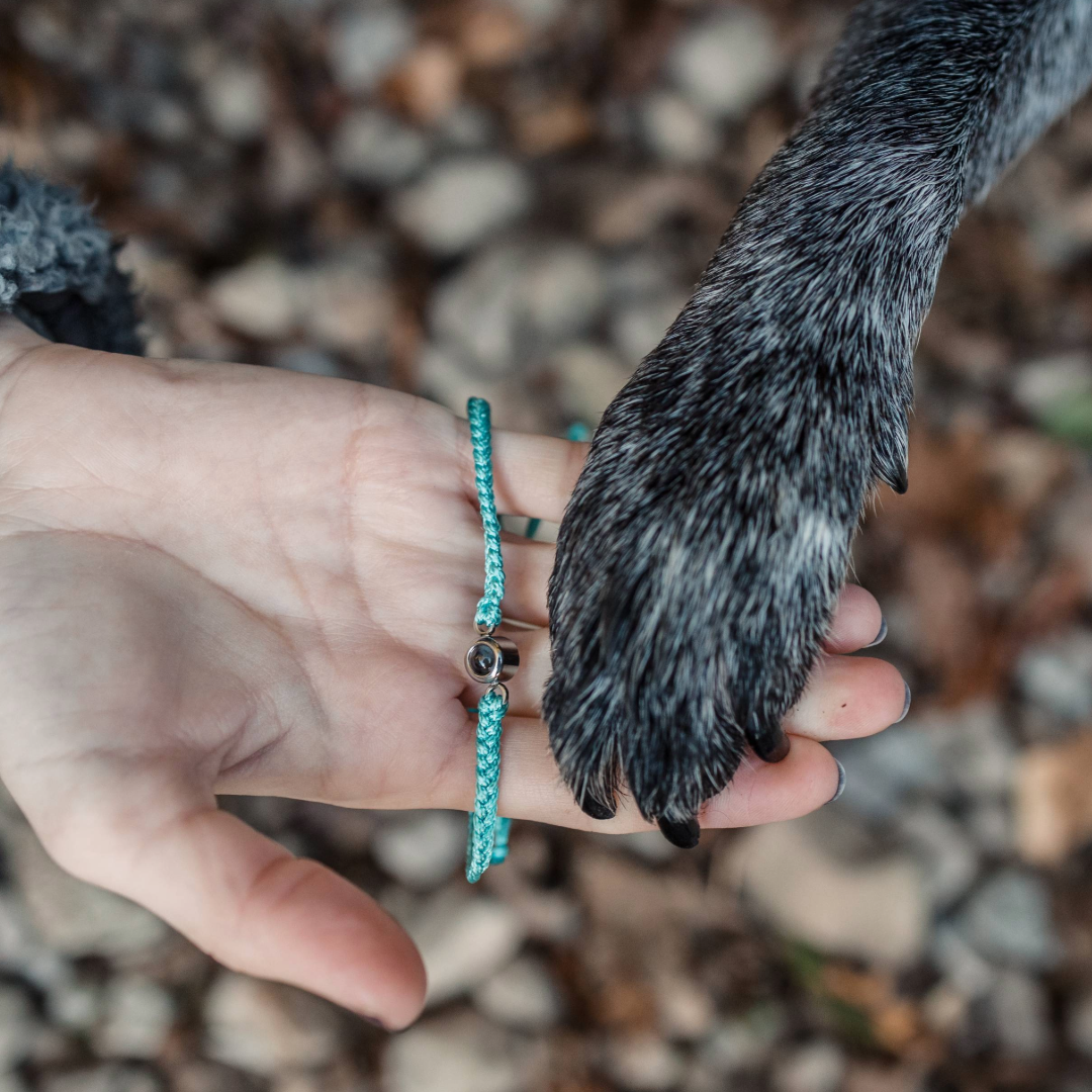 A person gently holds a dog’s paw in their hand while displaying a teal braided bracelet with a small round charm. The scene is outdoors on a surface covered with rocks and fallen leaves.