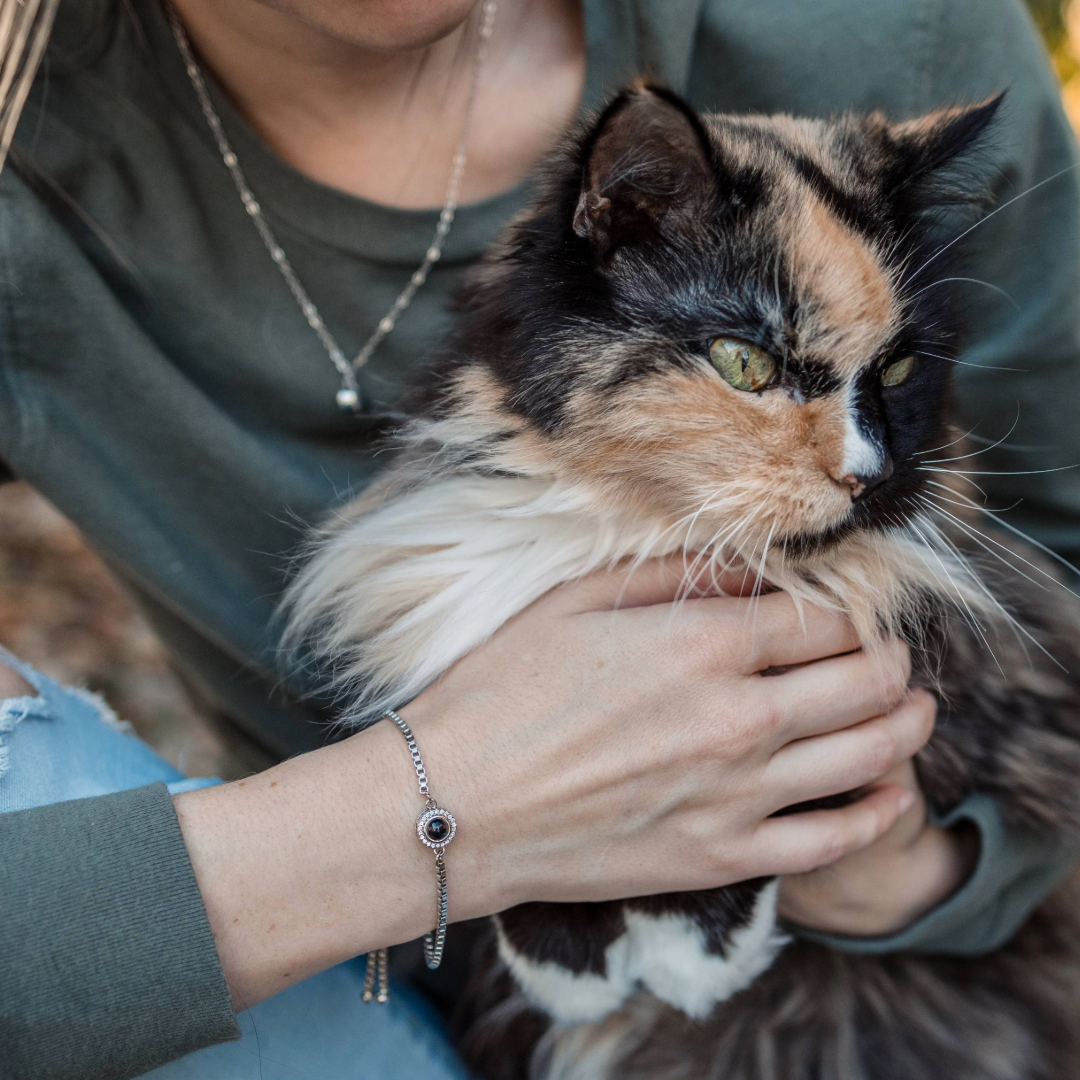 A woman wearing a green long-sleeve shirt and silver jewelry gently holds a long-haired calico cat. A silver bracelet with a round charm is visible on her wrist, and the cat looks off to the side with bright green eyes.