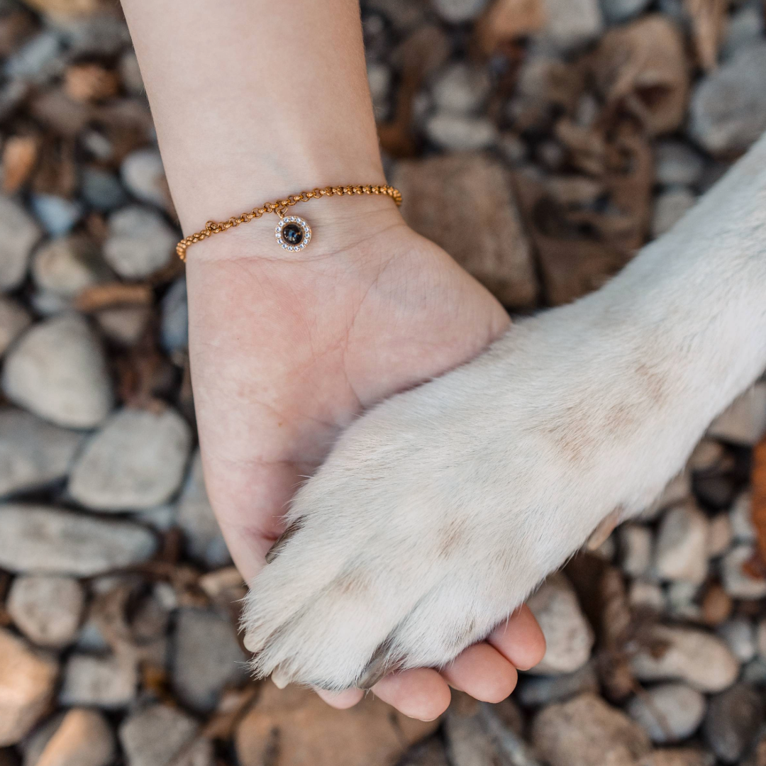 A close-up shot of a person gently holding a dog’s paw over a bed of small rocks. The person is wearing a gold beaded bracelet with a circular charm featuring its pet.