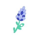Calming Scents