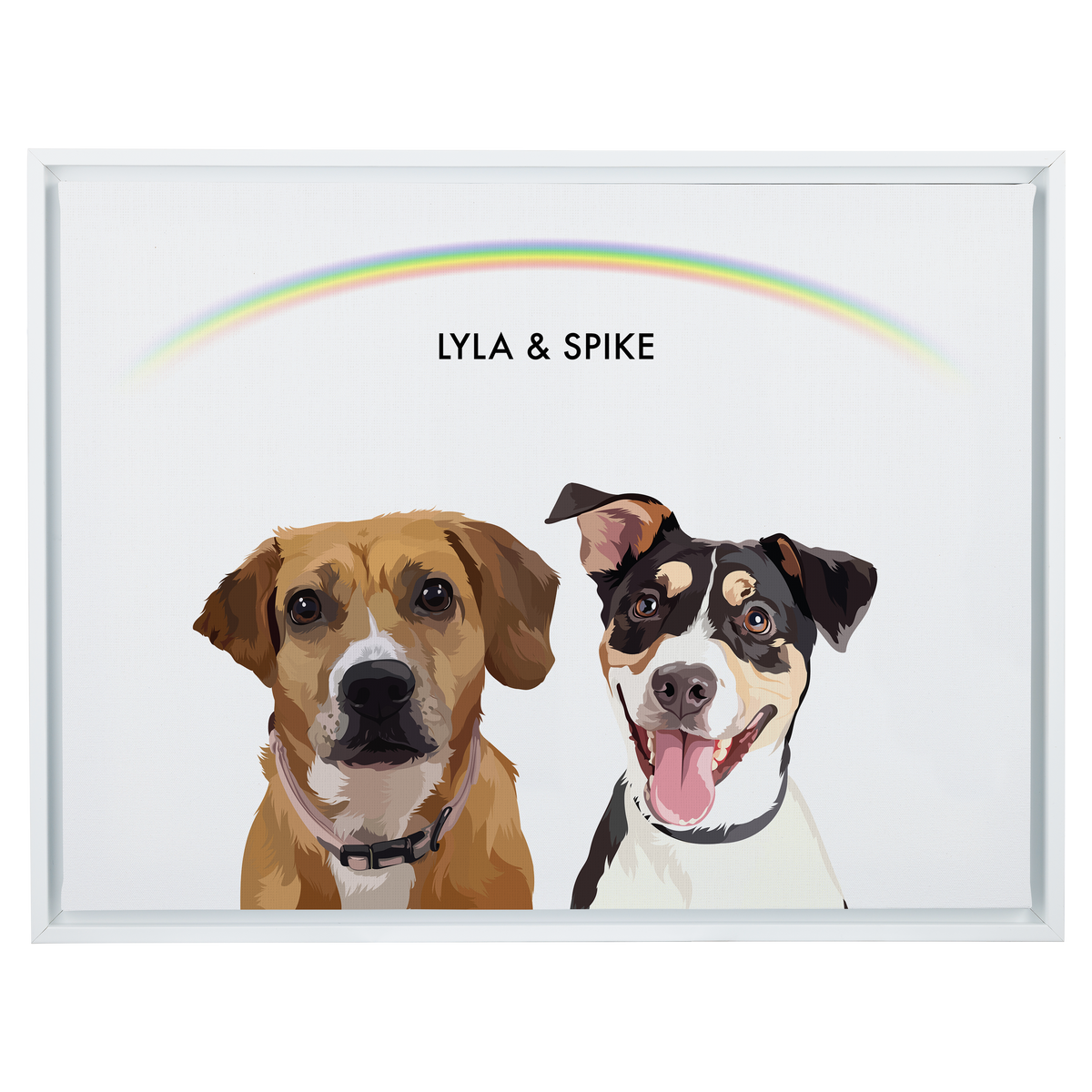 Rainbow18"x24"CanvasFrameWhite