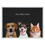 Portrait with three dogs, with white frame and black background. 18x24 canvas.