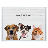 Portrait with three dogs, with white frame and white wood background. 18x24 canvas.