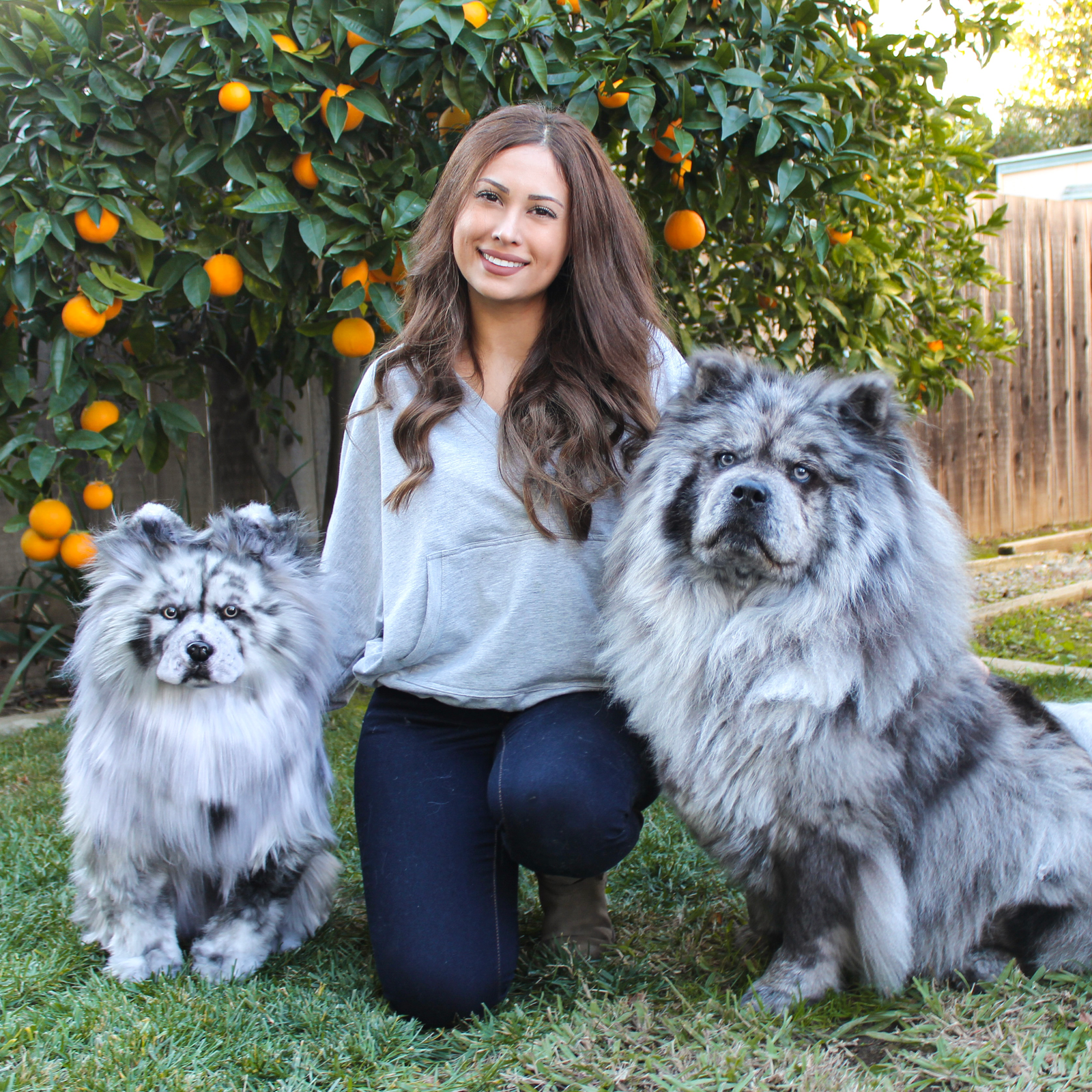 Stuffed best sale animals pets