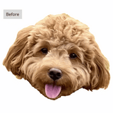 Split image: dog cartoon on left, realistic photo on right, white background.