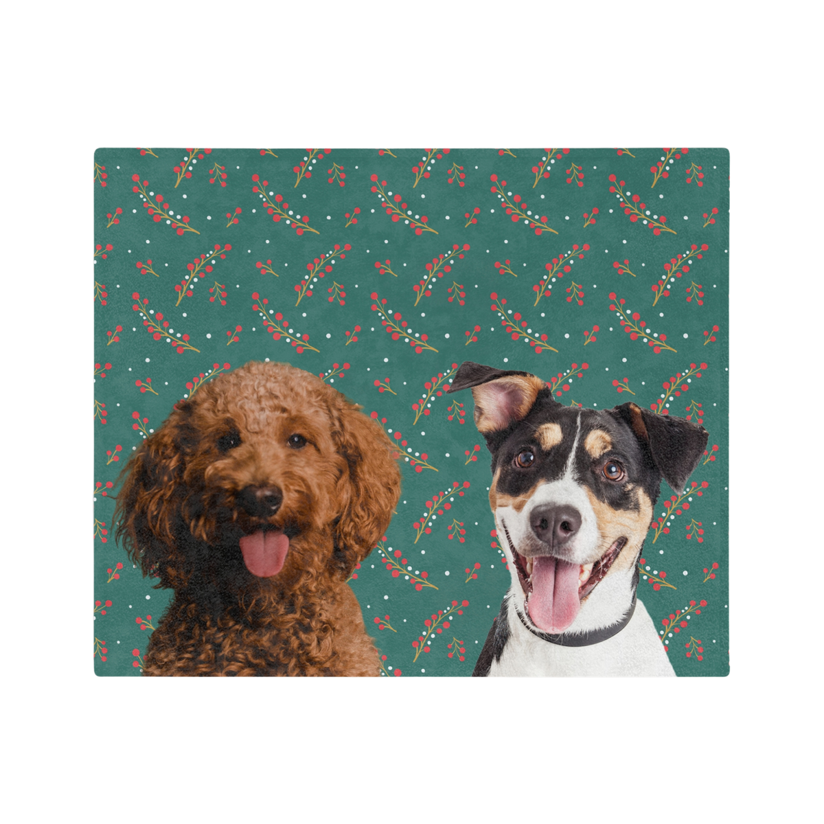 BerriesImageCutOut2Pets