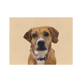 Blanket with artistic depiction of a brown dog with a beige background