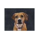 Blanket with a dog's face design on a dark background