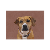 Blanket with illustration of a brown dog with a white muzzle on a brown background