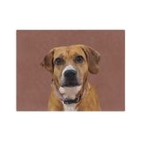 Brown dog with a white patch on a brown background