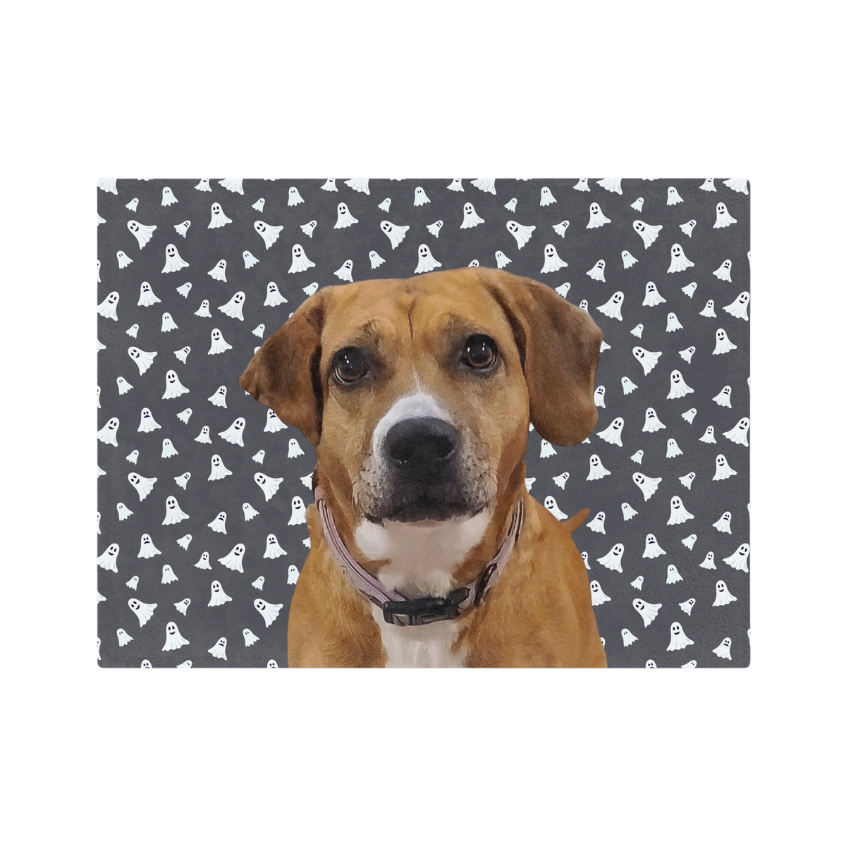 Dog with a Halloween-themed ghost pattern on a gray background