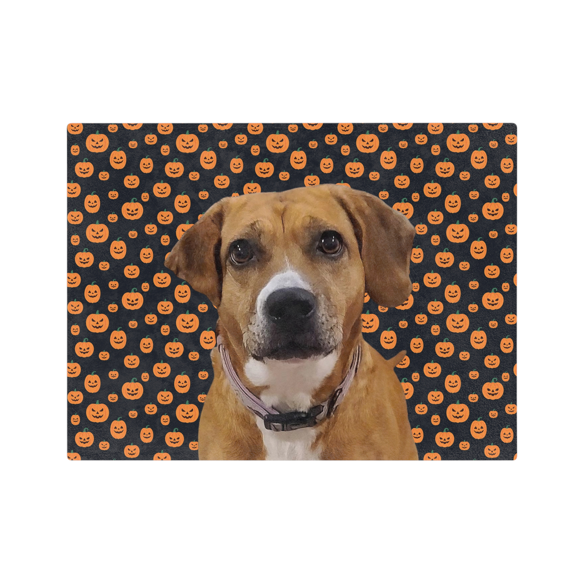 Dog in front of a Halloween-themed background with pumpkin pattern