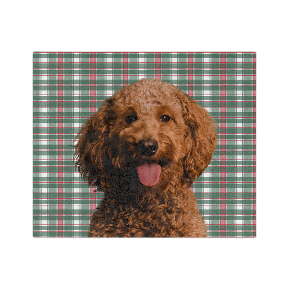 FlannelCutOut1PetImage