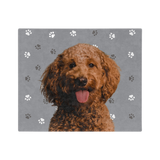 SlateGrayPawsImageCutOut
