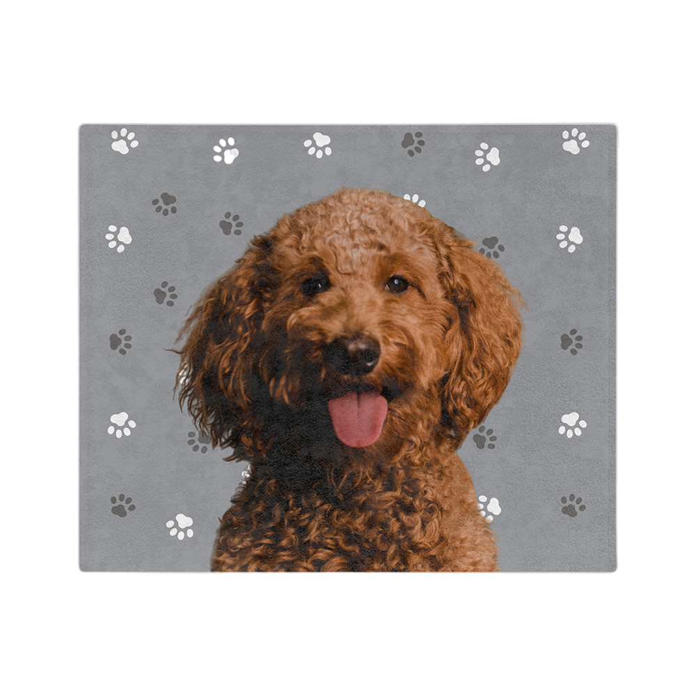 SlateGrayPawsImageCutOut