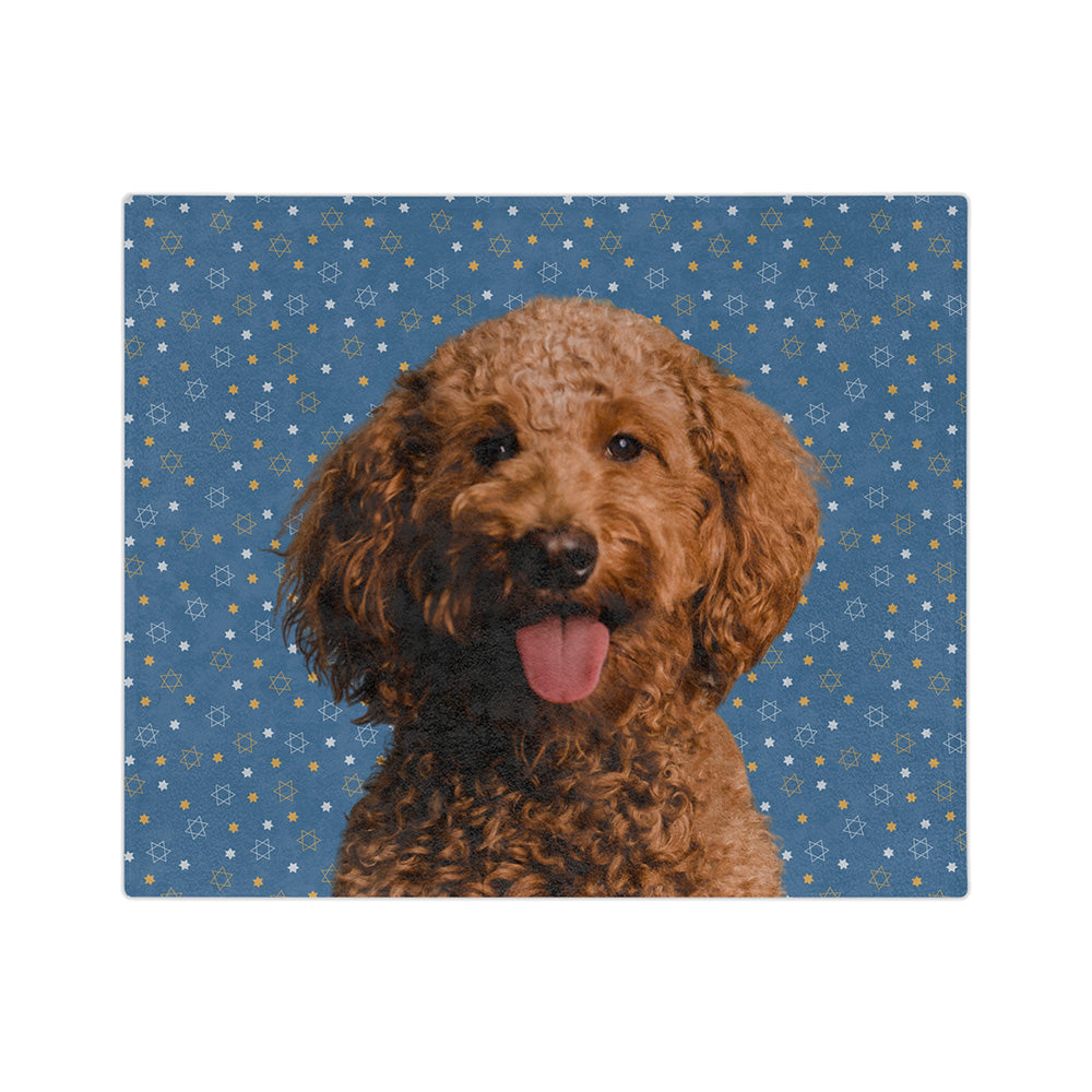 StarofDavidCutOut1Pet