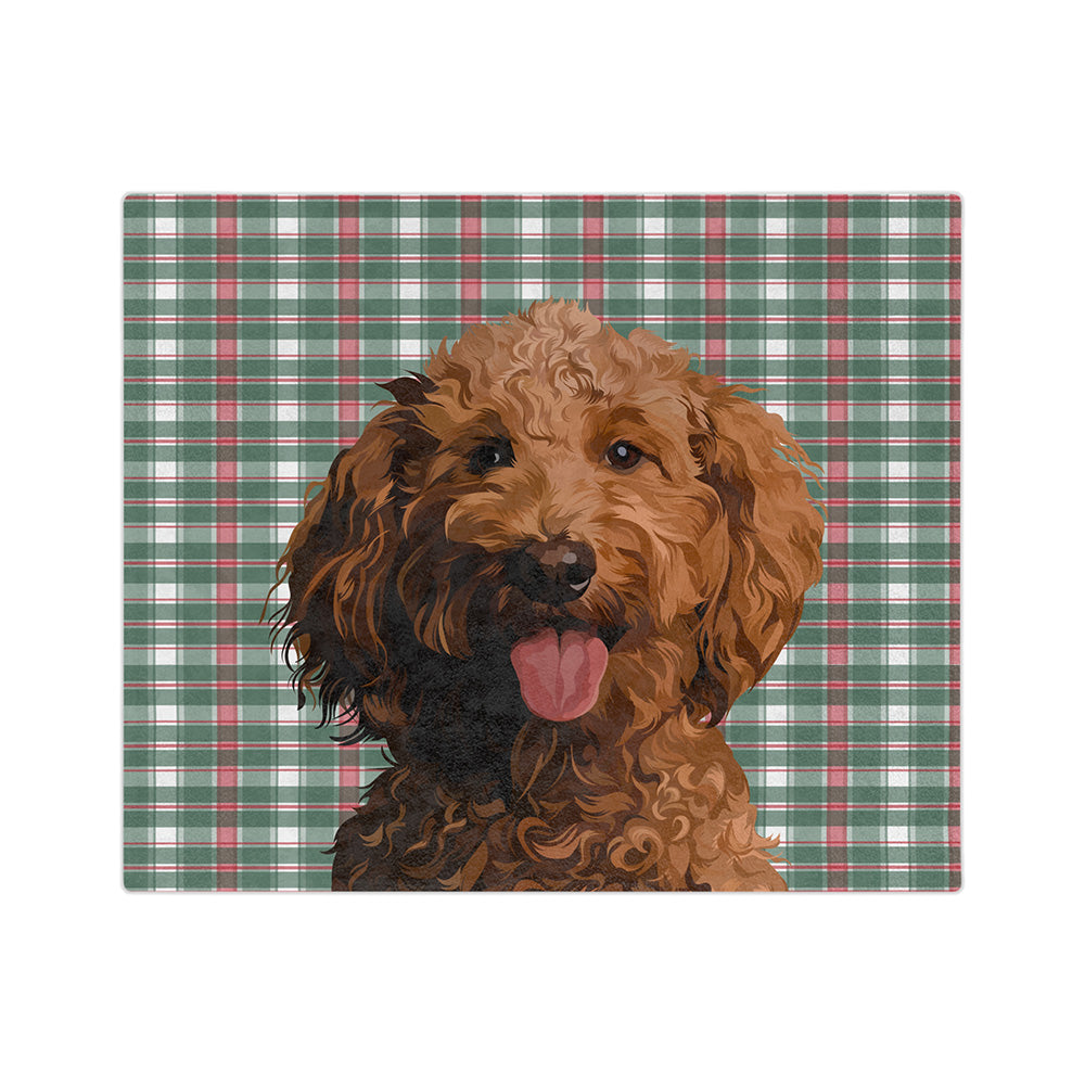 FlannelIllustration1Pet