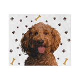 PawsandBonesHandIllustration